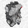 Moteur DW12RUE 2.2 BlueHdi