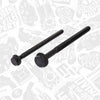 Joint de culasse + vis 2.2 hdi PUMA 1,2mm